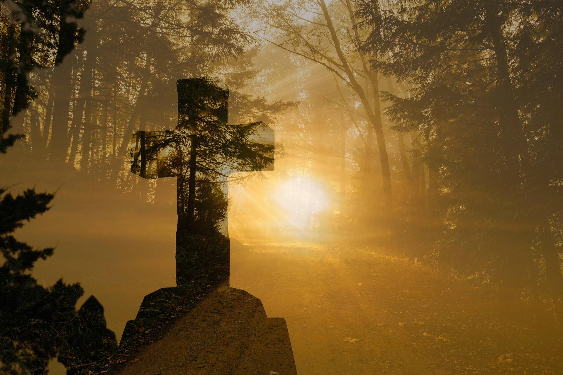 Zakład pogrzebowy Azalia O Nas